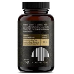 Solve Labs - REISHI 10:1 EKSTRAKT - 60 kapsułek
